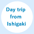 Day trip from Ishigaki island！