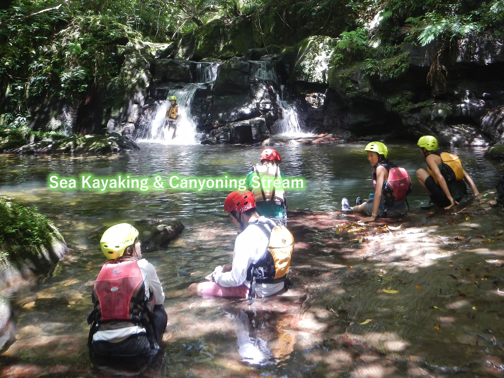 Iriomote Osanpo Kibun - Iriomote-Island Nature Ecotour, Kayaking ...