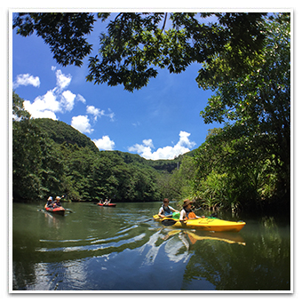 Seakayaking image