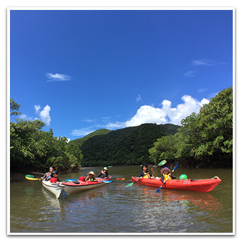 Seakayaking image