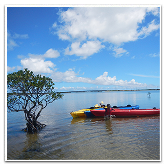 Seakayaking image