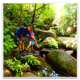 Geta Watefall Jungle River Trekking image