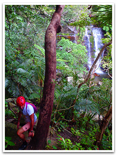 Geta Watefall Jungle River Trekking image