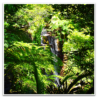 Geta Watefall Jungle River Trekking image