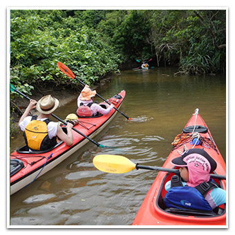 Seakayaking