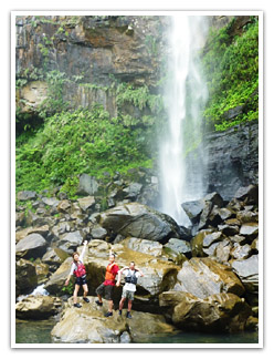 The basin of a waterfall