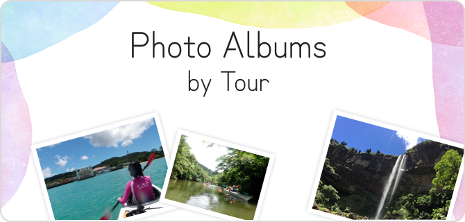 Photo Albums by Tour